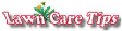 Lawn Care Tips