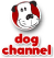 Dog Channel